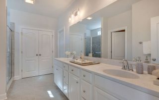 RIC CL Sawyer MIR Owners Bathroom | Stanley Martin Custom Homes